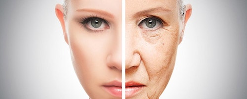 قارچ گانودرما پوست صورتتان را جوان کنید