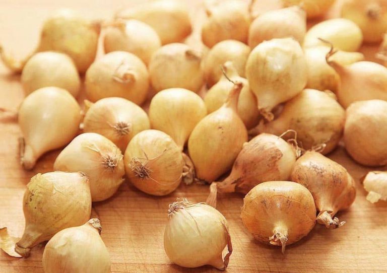 12 روش استفاده از آب پیاز برای رشد مو