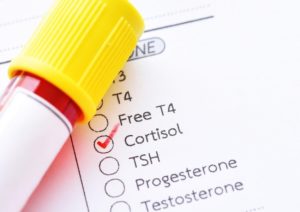 کورتیزول چیست؟ هر آنچه لازم است درباره هورمون استرس بدانید