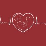چه زمانی ضربان قلب جنین قابل شنیدن است؟