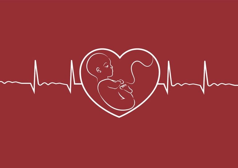 چه زمانی ضربان قلب جنین قابل شنیدن است؟