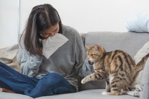 حساسیت به حیوانات خانگی چیست؟ از علائم تا درمان