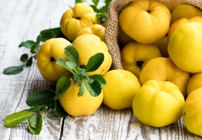 جدول ارزش غذایی به