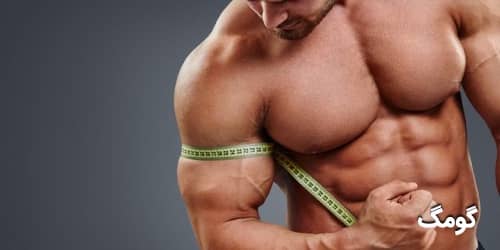 ۲۴ روش برای عضله سازی حجمی