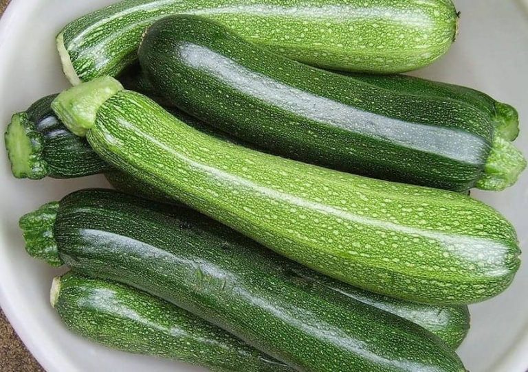 کالری کدو سبز و جدول ارزش غذایی کدو سبز
