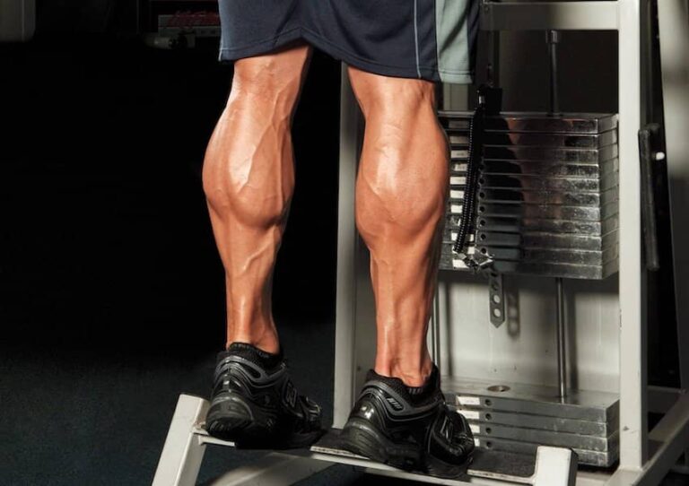 حرکت ساق پا ایستاده با دستگاه Standing Machine Calf Raise