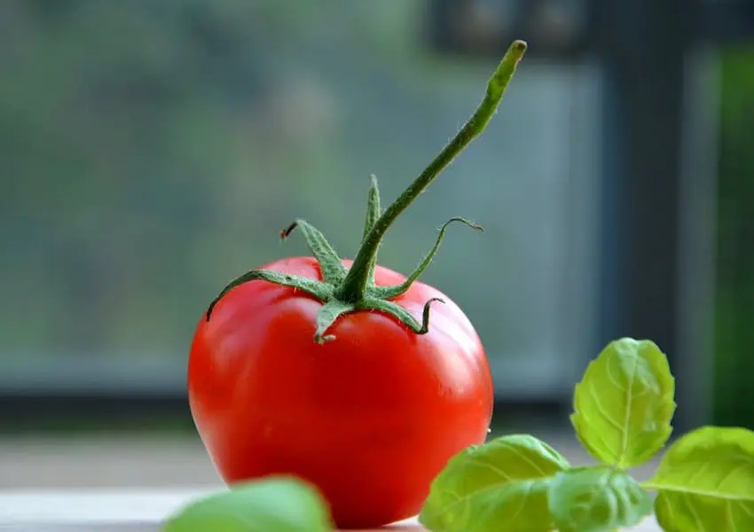 خواص گوجه فرنگی برای سلامتی؛ از سرطان تا آفتاب سوختگی