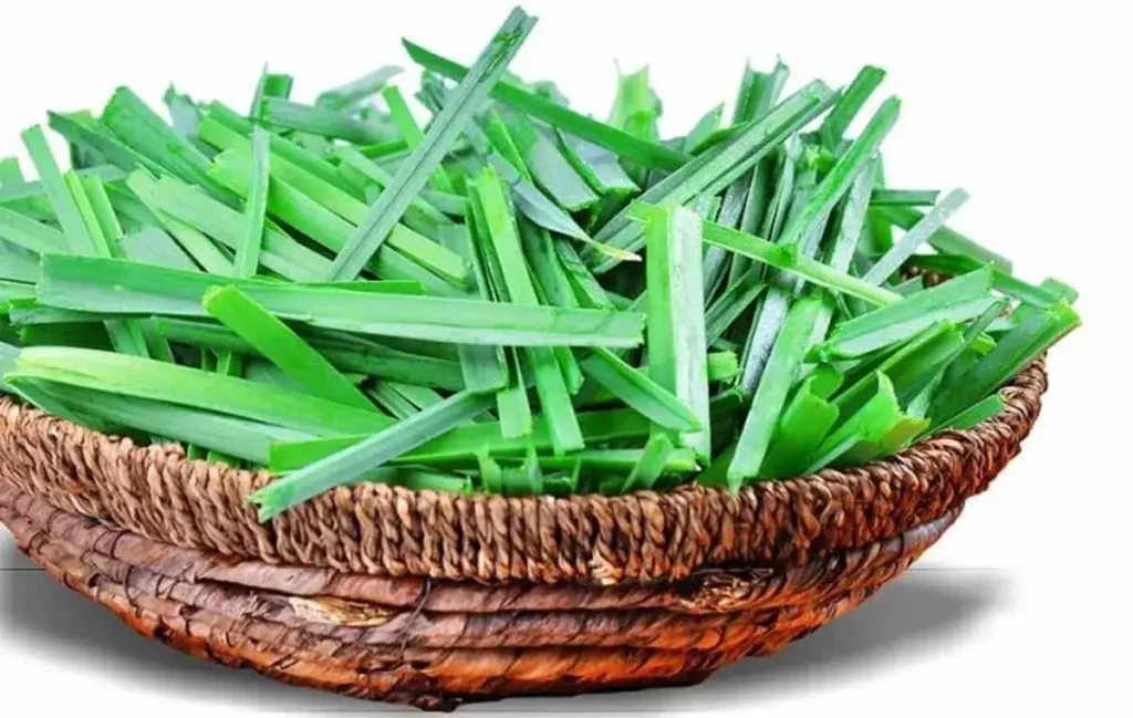 سبزی خوردن تره