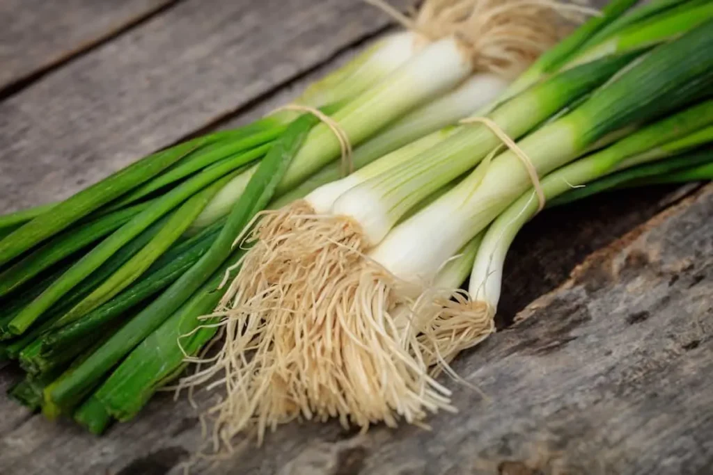 سبزی خوردن پیازچه