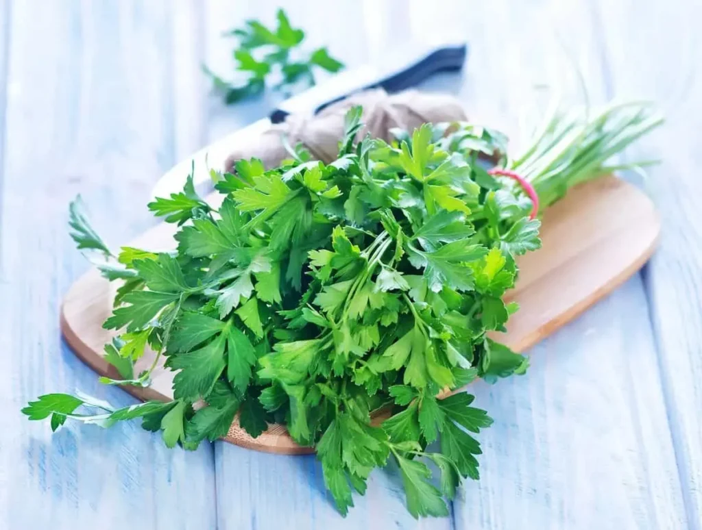 سبزی خوردن جعفری