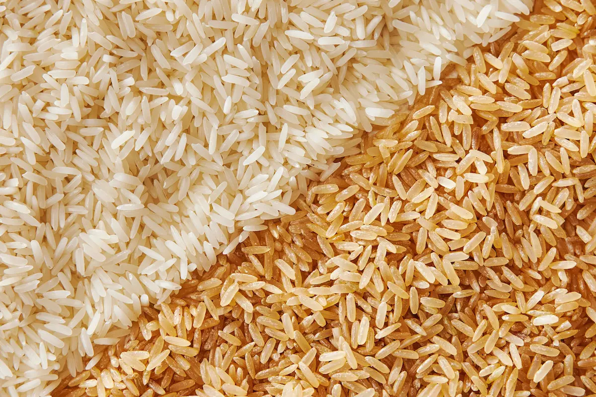 برنج قهوه ای یا برنج سفید؛ کدام بهتر است؟