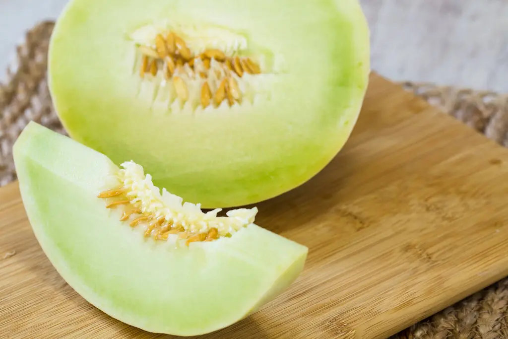 آب طالبی در بارداری