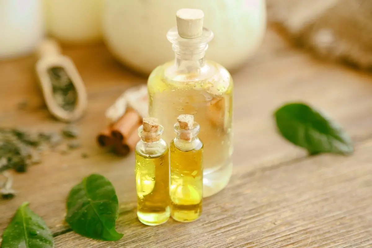 آیا درمان شپش سر با روغن درخت چای ممکن است؟