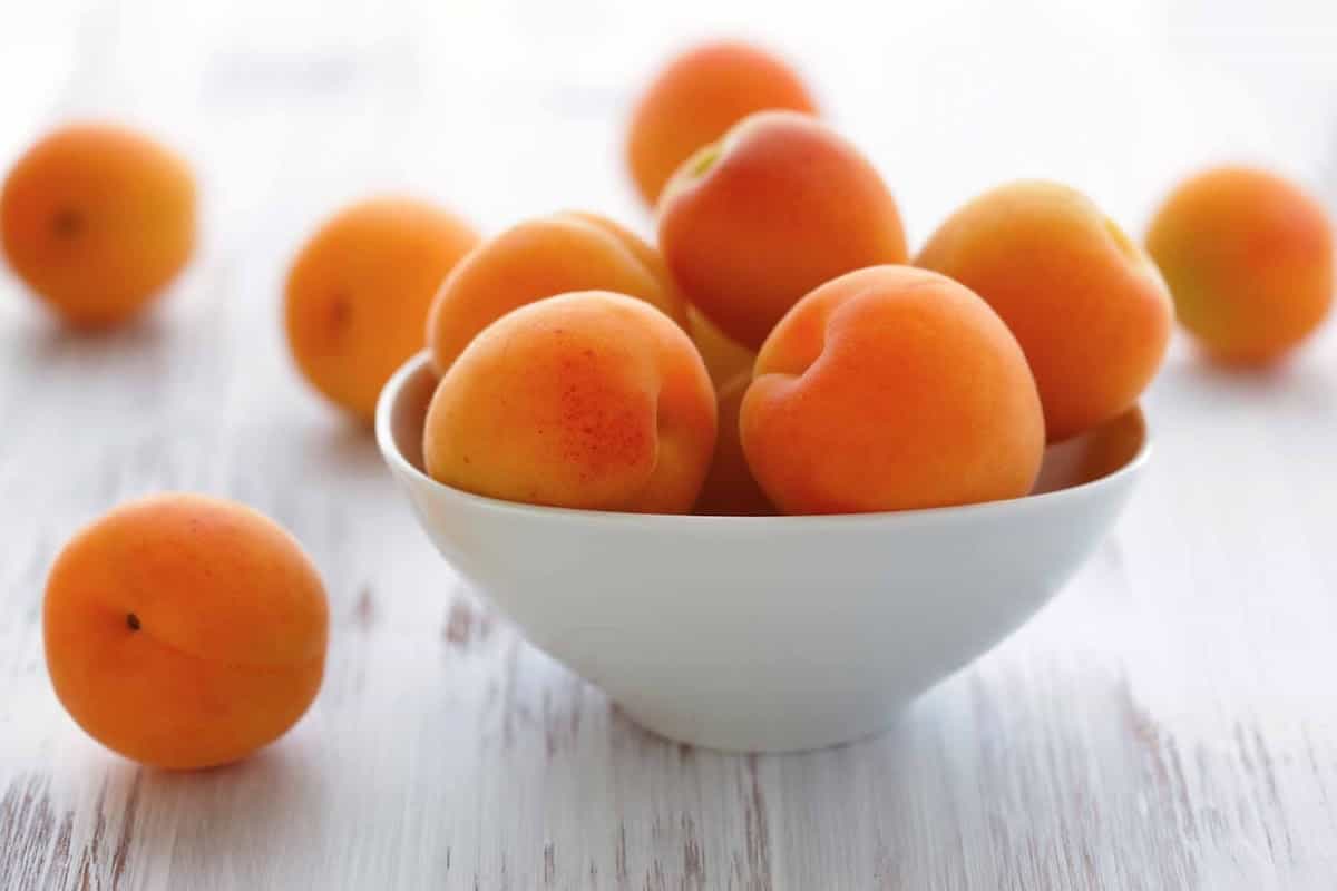 تعدادی زردآلو در یک ظرف