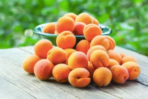 خواص زردآلو؛ فواید، ارزش غذایی و نکات مهم مصرف