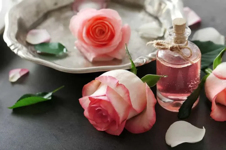 خواص گلاب برای پوست در تابستان