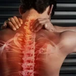 ستون فقرات و نخاع یک مرد