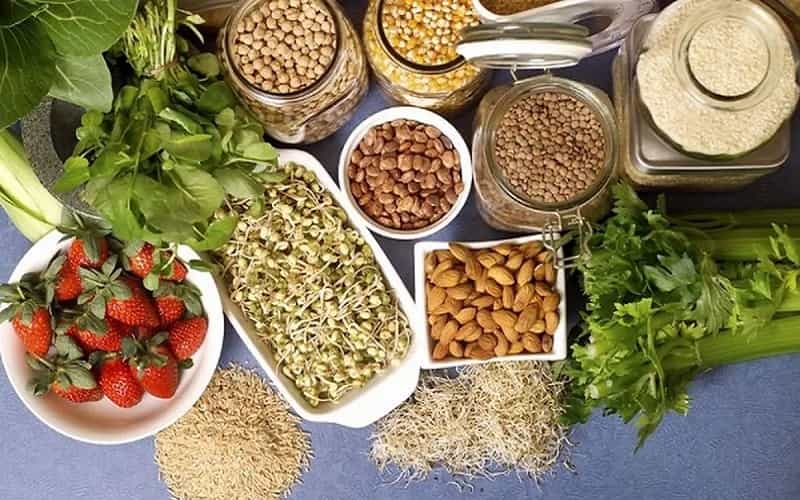 غذا های فیبر دار