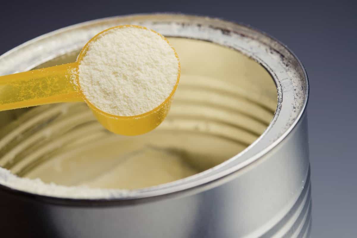شیر خشک در بدنسازی