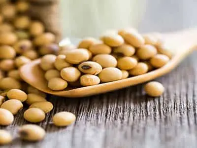 لسیتین سویا