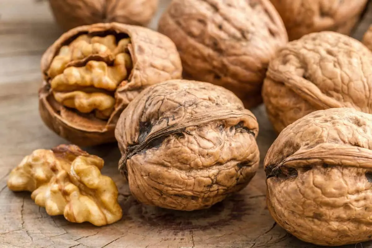 گردو برای بیماران کلیوی