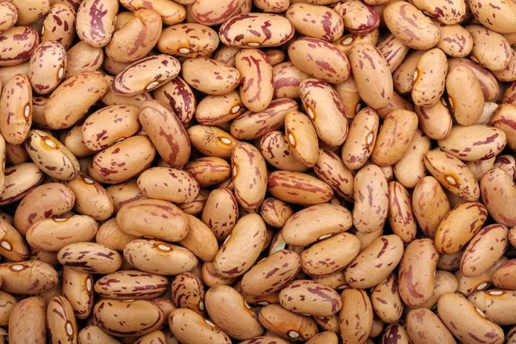 لوبیا چیتی