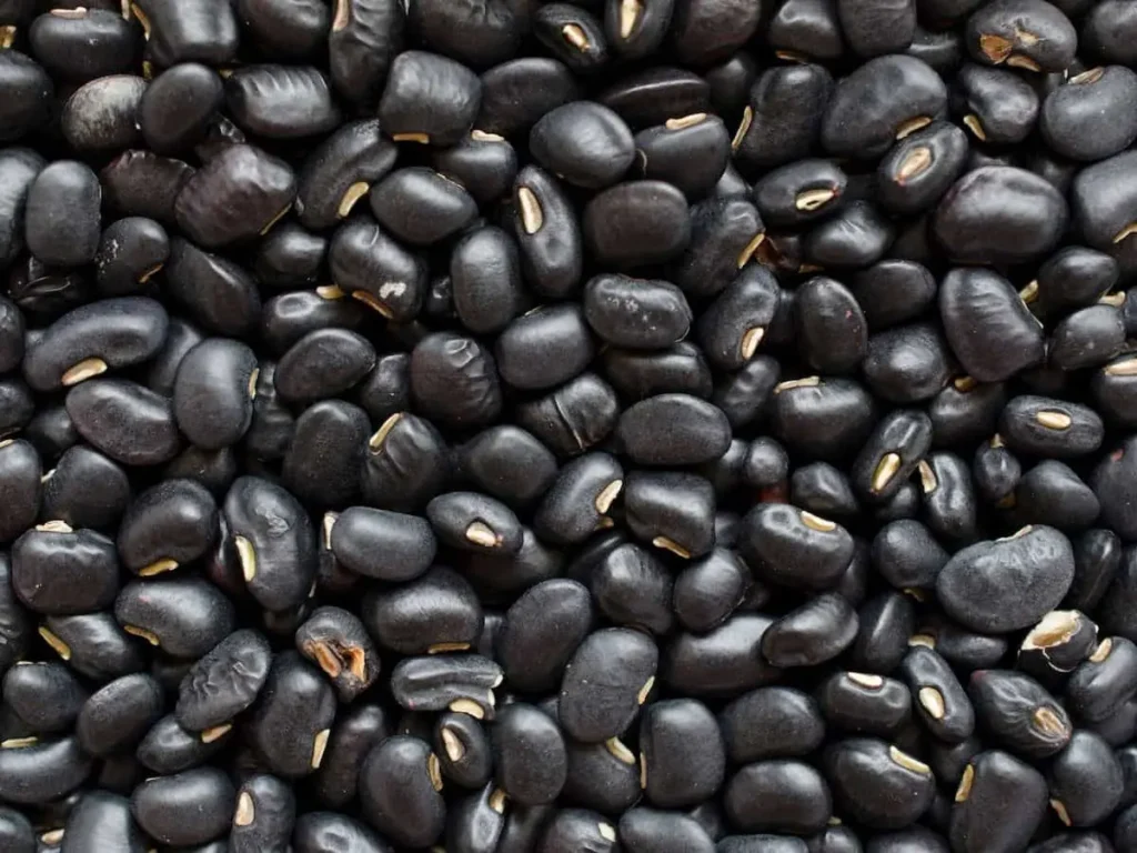لوبیا سیاه