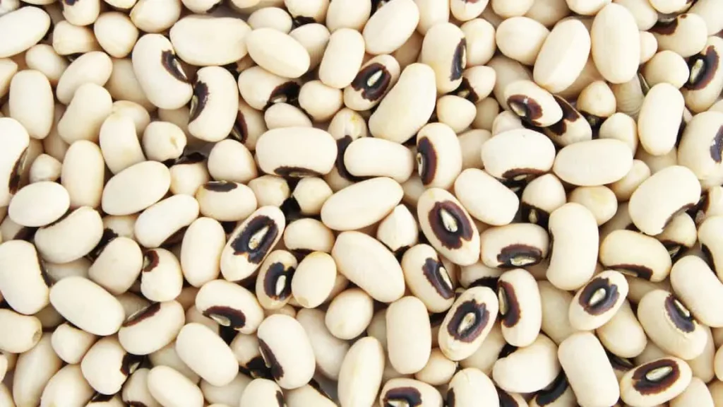 لوبیا چشمبلبلی