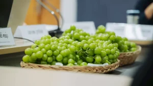 خوردن آبغوره در شب مفید است یا مضر؟