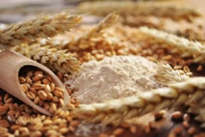 خواص گندم و جو