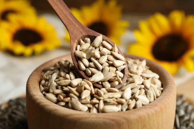 آیا خوردن تخمه شما را چاق می‌کند؟
