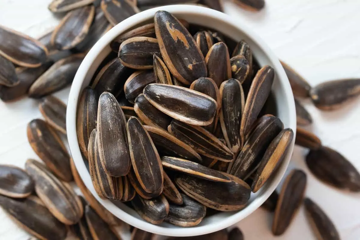 ارتباط تخمه و جوش صورت | آیا تخمه باعث جوش می شود؟