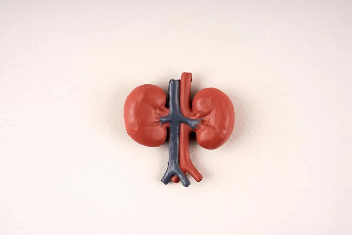 کراتینین چرا بالا می‌رود و درمان فوری آن چیست؟