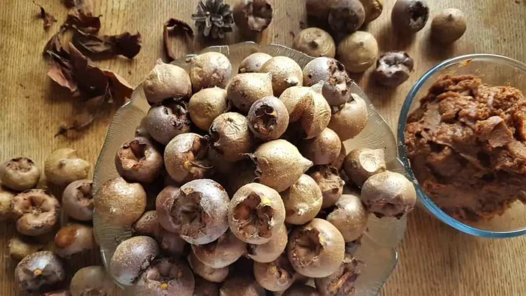 خواص ازگیل: میوه فراموش شده با فواید شگفتانگیز