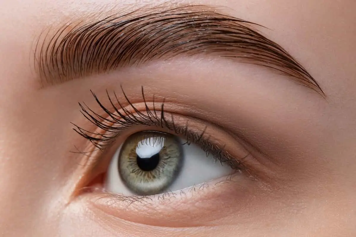 بهترین روغنهای طبیعی برای ابرو چه هستند؟