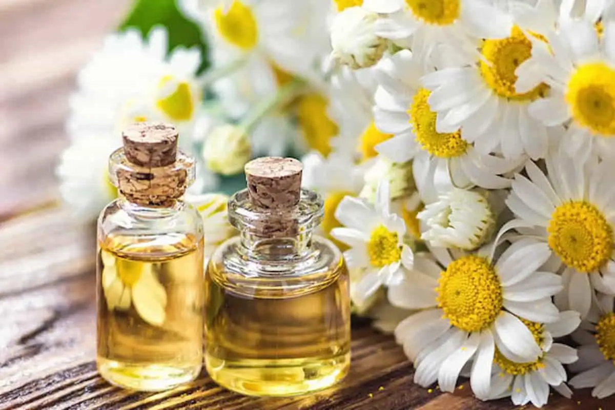 آشنایی با خواص روغن بابونه برای لک صورت