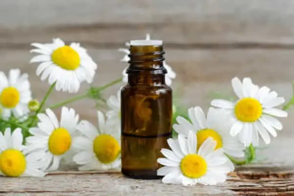 نحوه استفاده از روغن بابونه برای لک صورت