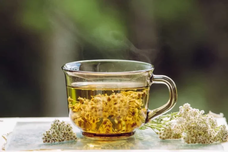 خواص بومادران؛ گیاهی که شما را شگفتزده میکند