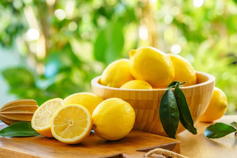 ۵ ترفند طلایی برای انتخاب لیموی تازه و آب‌دار