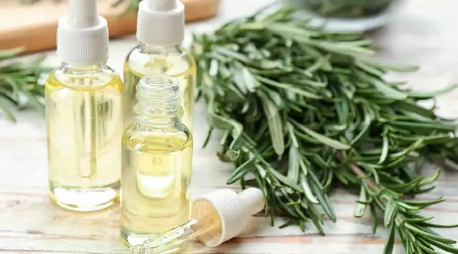 روغن رزماری برای ابرو