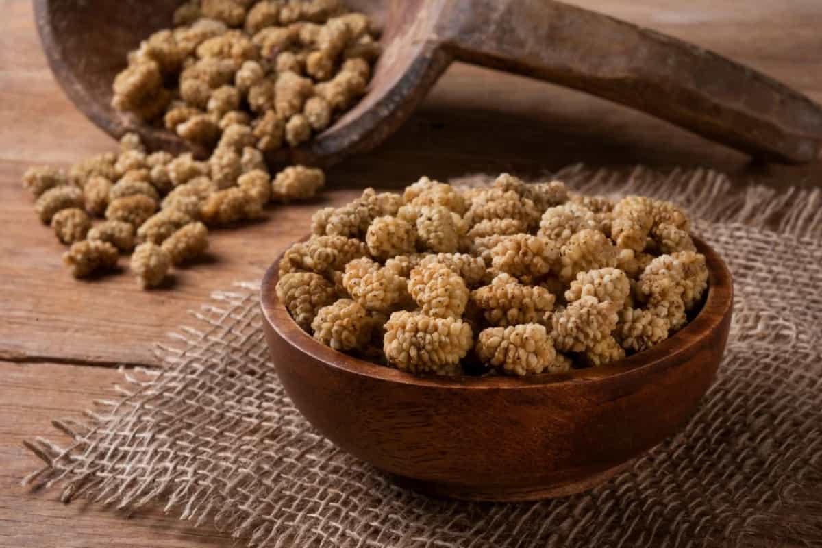 توت خشک برای دیابت مفید است یا مضر؟