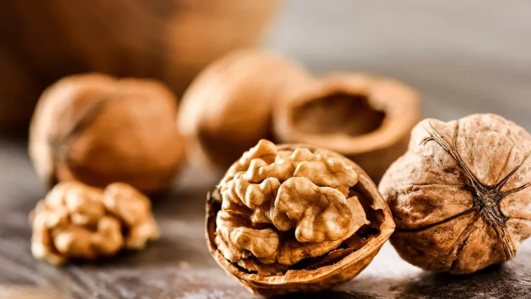 خواص گردو برای سلامتی؛ از قلب تا سرطان