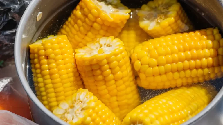 خواص ذرت آب پز + بهترین زمان خوردن و نکات مهم